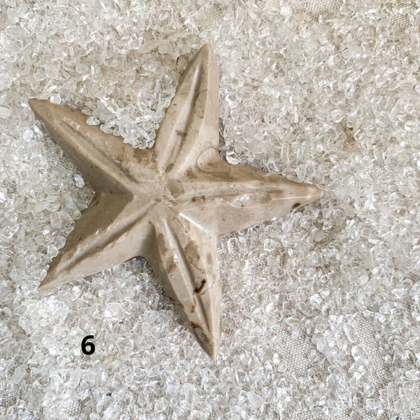 Étoile de Mer en Onyx